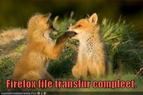 funny-pictures-firefox-file-transfer-is-complete83a36.jpg