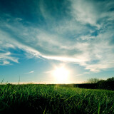 01537_grassysunset_1920x1080acef341c45ac3903fe173