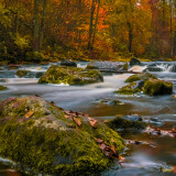 03737_colorsofautumn_3440x1440dae34f75a60ab7b2