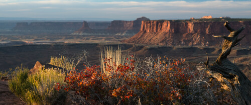 03793 canyonlands 3440x1440