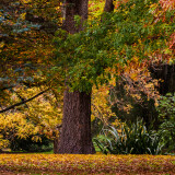 03891_autumncolours_3440x1440183e5d551702e5a6