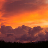 03929_tangerinesinthesky_3440x1440b85469f6e7d8612f