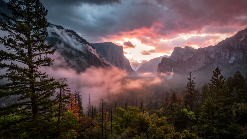 04131_mistyyosemite_2560x1440dd5f7dd82e08554782d14cf37883808b.jpg