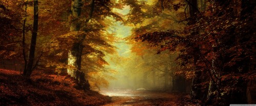 beautiful_autumn_landscape_4-wallpaper-3840x1600bb39ee5503386788.jpg