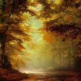 beautiful_autumn_landscape_4-wallpaper-3840x1600bb39ee5503386788