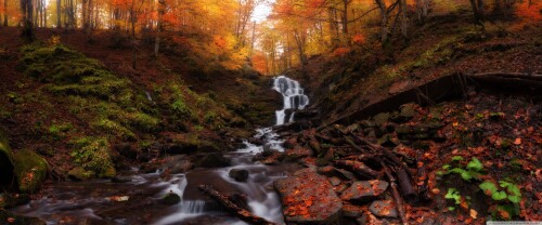 beautiful_autumn_scenery_2-wallpaper-3840x16006f9d17a0815c5cd6.jpg