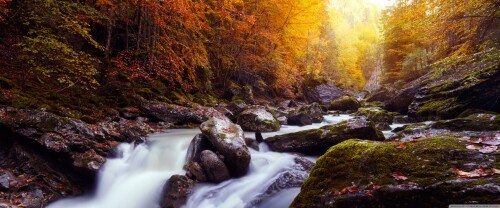 beautiful_autumn_scenery_gorges_de_la_jogne_switzerland-wallpaper-3840x1600d9b8f2b6a53556b1.jpg