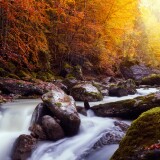 beautiful_autumn_scenery_gorges_de_la_jogne_switzerland-wallpaper-3840x1600d9b8f2b6a53556b1