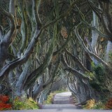 dark_hedges_beech_trees_northern_ireland-wallpaper-3840x16007ba93acb9cdcb25d