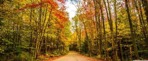 fall_autumn_colors_travel_road_trees_foliage-wallpaper-3840x1600f404acbf1b355711.jpg