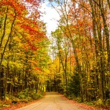 fall_autumn_colors_travel_road_trees_foliage-wallpaper-3840x1600f404acbf1b355711