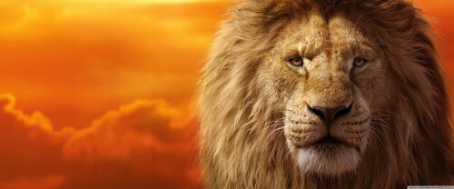 the_lion_king_mufasa_simba-wallpaper-3840x1600fd4507ef14beb616.jpg