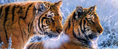 tigers_2-wallpaper-3840x1600b16fd38cfce0254f.jpg