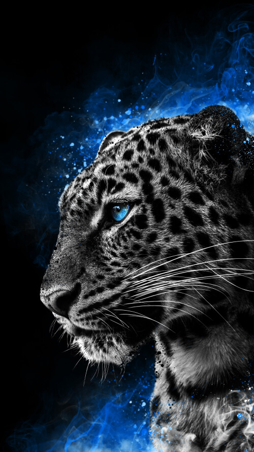 cheetah galaxy eyes 5m 2160x3840667816b64f75e054