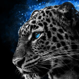cheetah-galaxy-eyes-5m-2160x3840667816b64f75e054af7c968df2c1608c