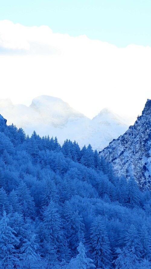 mountains-snow-fir-forest-winter-5o-2160x3840c7e8a7b366a3c122.jpg