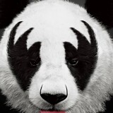 panda-4k-artwork-fo-2160x38408efb7039d395dbc5065548aa3d72469d