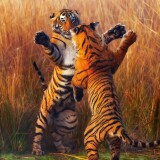 two-tiger-fightining-b1-1920x1200931317daf4524efc