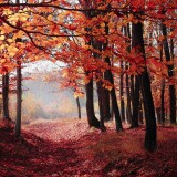 autumn_forest_trees_red_leaves-wallpaper-3840x1600de0756b8e1bfb2f9