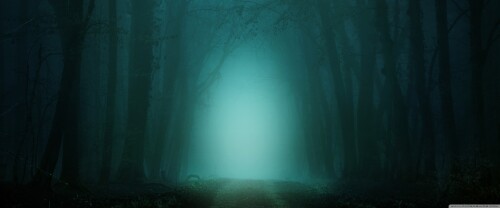 road through forest fog night wallpaper 3840x1600