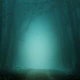 road_through_forest_fog_night-wallpaper-3840x1600a4acc36f16f53e46