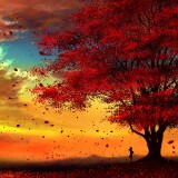 186-1868172_anime-autumn-scenery-sunset-4k-3840x2160-anime-backgroundsde4b8fc317c477d8