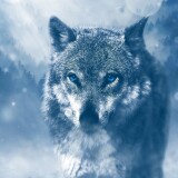 wp4472232-3840x1600-wallpapers4f356fbb861f515e