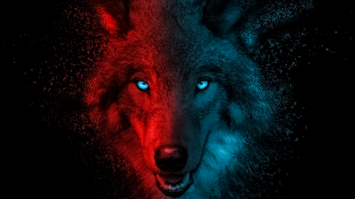 wolf-scary-gradient-dark-background-3840x2160-4779643228f64a889d8f