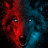 wolf-scary-gradient-dark-background-3840x2160-4779643228f64a889d8f