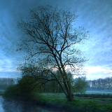 01253_silence_1920x1080dde8e48b0bf94da1f18dd8d96dcf270f1235e