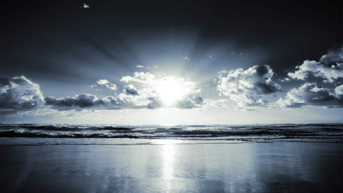 01356_crepuscule_1920x10808703f88128a2a6526fb8130afa316b68c8a82.png