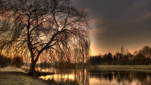 01460_sundaymorningii_1920x108017d6960856e2c05b4e30aba6930f1a5602208eb2e4eb84e2.png
