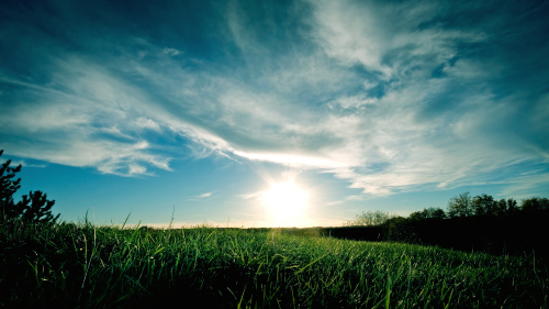 01537_grassysunset_1920x1080acef341c45ac3903fe17382bf7e3159d3ad8d.png
