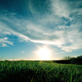 01537_grassysunset_1920x1080acef341c45ac3903fe17382bf7e3159d3ad8d