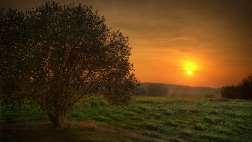 01713_mysticsunset_2560x1440b5d20fc21d361774e49ea694fbdfd37fa41aa7737bb8cdd1.png