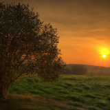 01713_mysticsunset_2560x1440b5d20fc21d361774e49ea694fbdfd37fa41aa7737bb8cdd1