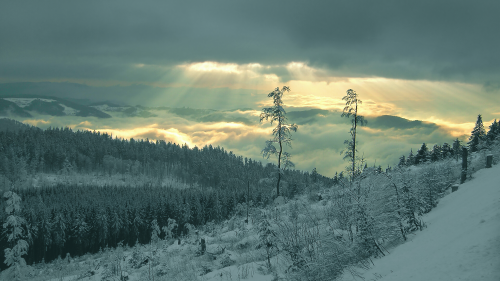 02176_themomentbeforeimpact_1920x1080057c28ccbbb77147e8c1e138cc59bdd3fc88c.png