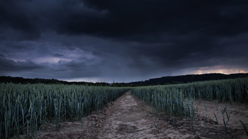 02180_stormfield_1920x10805e07e11d4dd927793bfff7afbb26e0ec9ee99.png