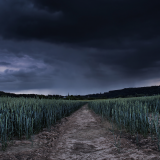02180_stormfield_1920x10805e07e11d4dd927793bfff7afbb26e0ec9ee99