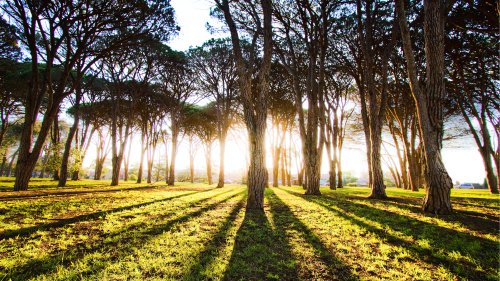 02457_longshadows_1920x10807c27234902695a81cc57cf0a41ce35c921e2d.png