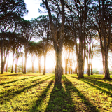02457_longshadows_1920x10807c27234902695a81cc57cf0a41ce35c921e2d