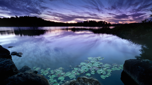 02629_placeofzen_1920x1080729768df178034ff9eeb8fe1f6c3aac22fbc3ca53e76b5d5.png