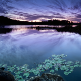 02629_placeofzen_1920x1080729768df178034ff9eeb8fe1f6c3aac22fbc3ca53e76b5d5