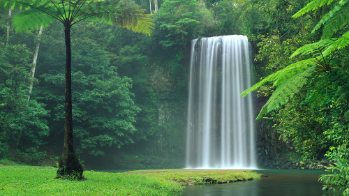 03596_eighthwonder_1920x108075d289c16abe4cd01a9e91b39629c8ea735f0.png