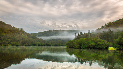 03616_mistymorningatberowacreek_1920x10805c0b180435911441b94bff0a8099112fd7a2f.png