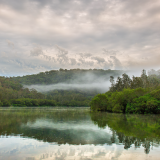 03616_mistymorningatberowacreek_1920x10805c0b180435911441b94bff0a8099112fd7a2f