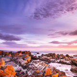 03842_bayoffiretasmania_1920x10809ed7a47e26105182276e9b982bd55e01a1e7b