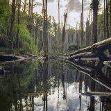 03985_caodiwetland_1920x108070f3cf5006f211d8f00294048c7747966f2ea