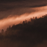 04075_foggysunsetinfrance_2560x14406340ab21d6bce5216158496812951b329f18ef00425bf2b5