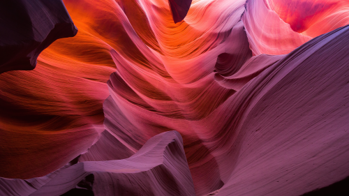 04124_shadesofnature_2560x144024cf40e6b8ebd1d5c147157060af1d3250a1c97718e00a4a.png